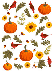 vector drawing autumn set orange pumpkins, flowers, birds and leaves,design elements, hand drawn illustration