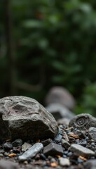 Obraz premium a rock in the middle of the forest