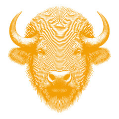 buffalo vector illustration