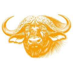 buffalo vector illustration