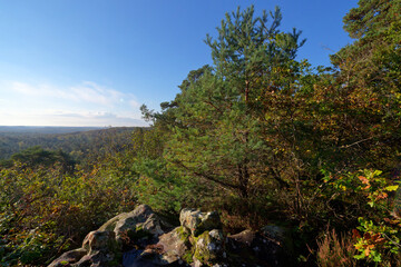  La Roche Feuilletée point of view  in the Coquibus hill