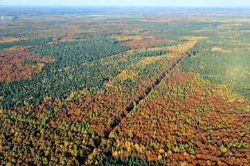 Sachsenwald