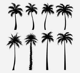 Palm tree silhouettes isolated on white background