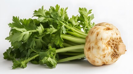 celery root with leaf isolated on white background. Celery isolated on white. 