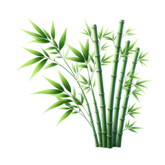green bamboo stems with leaves illustration, isolated on white background PNG