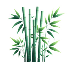 green bamboo stems with leaves illustration, isolated on white background PNG