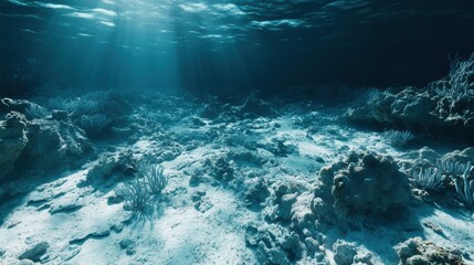 Sunbeams pierce the dark ocean floor.