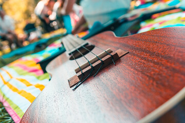Ukulele in nature, the concept of a fun musical holiday friends in the Park