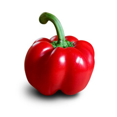 Single Red Bell Pepper