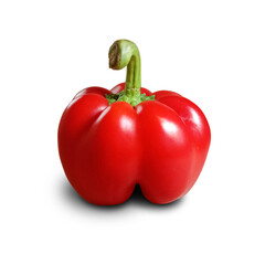 Single Red Bell Pepper