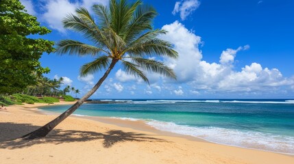 Obraz premium Tropical Paradise Beach with Palm Tree and Blue Sky