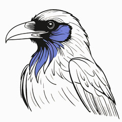raven black and white sketch