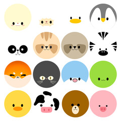 Fototapeta premium animal