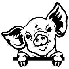 Peeking Piglet - Funny Farm Animal - Animal Stencil Cut Files