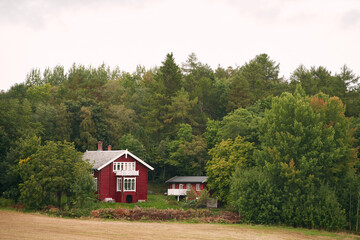 Red cabin in autumn forest by Norwegian fjords