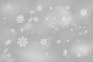Christmas snowflakes on a transparent background. Snow flakes, snow background. Heavy snowfall, snowflakes in different shapes and forms.