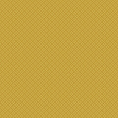 Fototapeta premium Abstract texture and pattern vector background