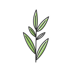 Minimal floral icon vector line art, floral icon vector illustration in handdrawn style