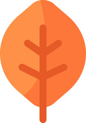 Fototapeta premium autumn maple leaf