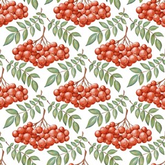 Seamless pattern with watercolor rowan bunches of berries and branches drawn in the realistic style on a white background, suitable for textile, fabric, wrapping paper, stationery 