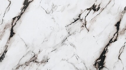 Obraz premium Elegant Black and White Marble Texture background