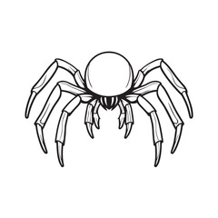 scary insect spider halloween nature black and white vector isolated on a white background tattoo style high quality print animal