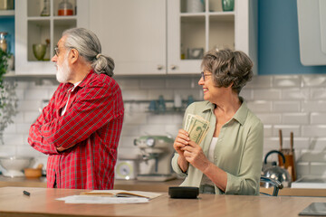 in bright kitchen an elderly cute couple at the table count their expenses monthly payment utility bills monthly survival count money misunderstanding