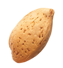 almond nut in shell isolated