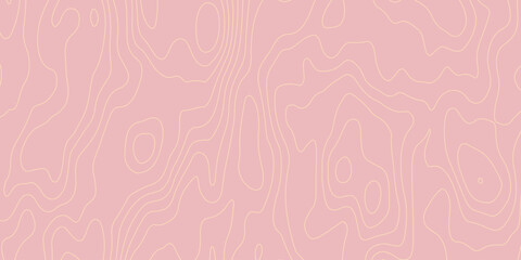 Topographic gradient line map. Abstract circle lines background. Abstract blank detailed topographic contour map. Background of the topographic map. Line topography map contour background