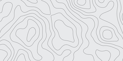 Topographic gradient line map. Abstract circle lines background. Abstract blank detailed topographic contour map. Background of the topographic map. Line topography map contour background