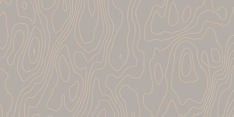Topographic gradient line map. Abstract circle lines background. Abstract blank detailed topographic contour map. Background of the topographic map. Line topography map contour background.