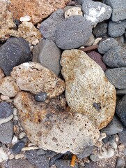 Portrait of coral rocks on the beach