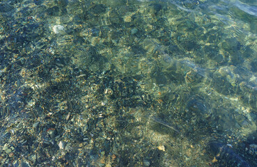 Clear Blue Waters Reveal a Vibrant Underwater World Filled With Colorful Stones and Shells at a Serene Coastal Location