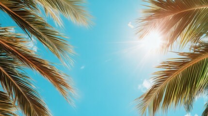 Fototapeta premium The image features brilliant sunlight shining through palm fronds against a clear blue sky, creating a bright, inviting, and sunny atmosphere full of warmth.