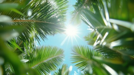 This image showcases the lush green leaves of palm trees with bright sunlight shining through, set against a clear blue sky, creating a fresh and vibrant scene.