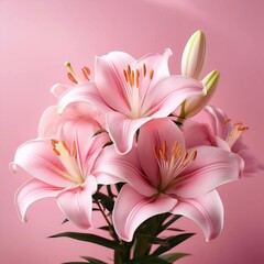 Fototapeta premium 百合の花