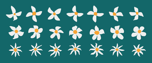 Set of flat or icon  daisi flowers, flat design isolated on white green background