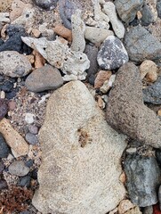 Portrait of coral rocks on the beach