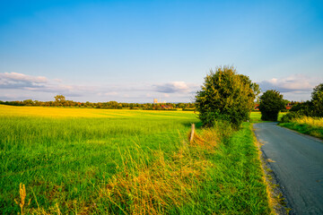 Obraz premium Landscape with fields near Dolberg, Ahlen. Nature on Halberg. 