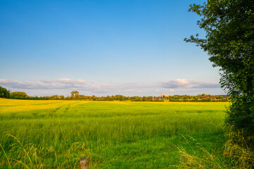 Landscape with fields near Dolberg, Ahlen.  Nature on Halberg.
