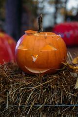 Halloween pumpkins or jack o lantern.