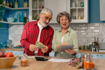 in a bright kitchen an elderly cute couple at the table count their expenses monthly payment utility bills count money smiling checking on tablet laughing