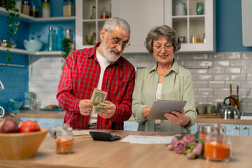 in a bright kitchen an elderly cute couple at the table count their expenses monthly payment utility bills count money smiling checking on tablet laughing