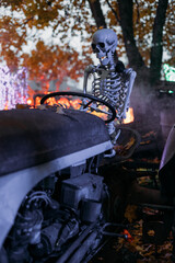 Halloween pumpkins or jack o lantern.