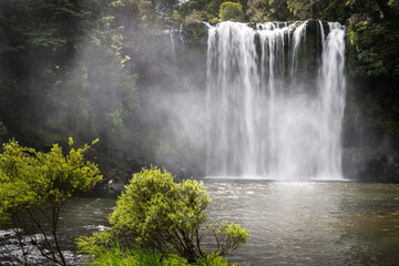 Rainbow Falls in Kerikeri. Northland. New Zealand.