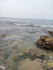 Portrait of a beach view on a sunny day with coral rocks on the beach