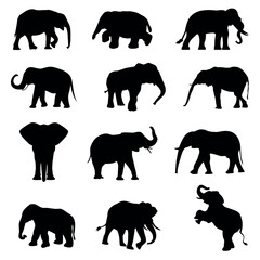 Elephant Silhouette Vector Illustration
