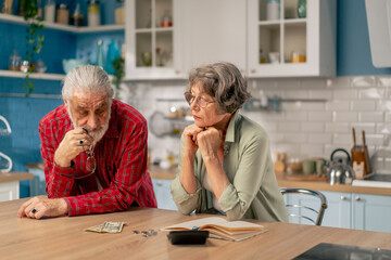 in bright kitchen an elderly couple at the table count their expenses monthly payment summing up the results of the year utilities count monthly survival count money bad mood