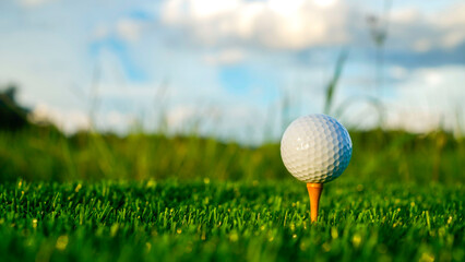 Golf ball on green grass in the evening golf course with sunshine background.