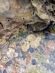 Portrait of a beach view on a sunny day with coral rocks on the beach